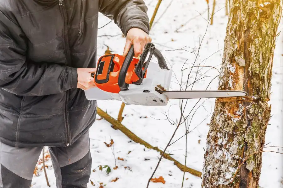 Electric chainsaws good for small tasks