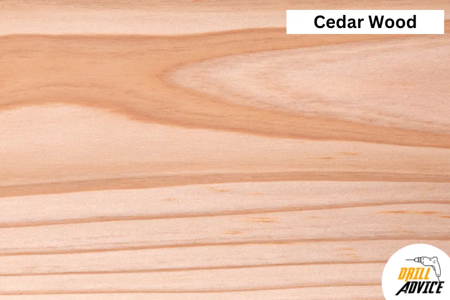 Ceder wood
