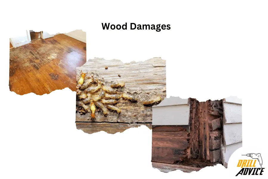 wood damages