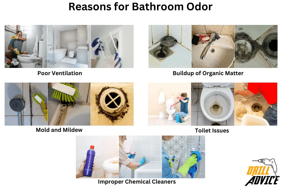Reasons for Bathroom Odor